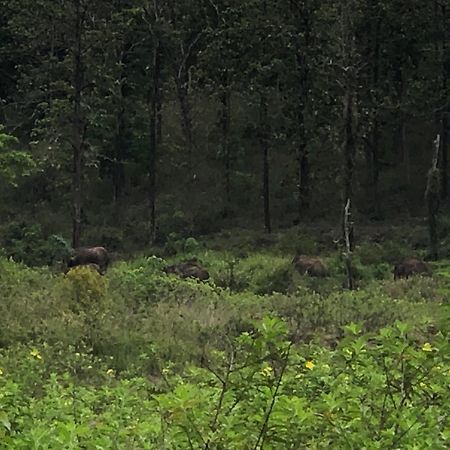Lotus Jewel Forest Camping Sultan Bathery Exterior foto