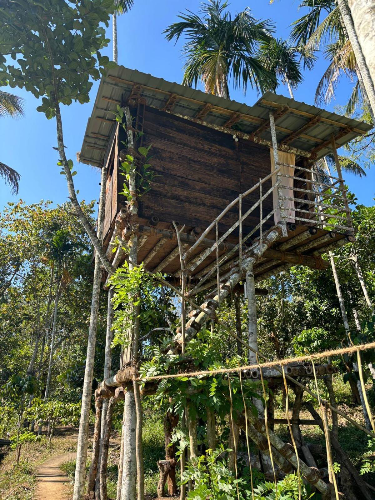 Lotus Jewel Forest Camping Sultan Bathery Exterior foto