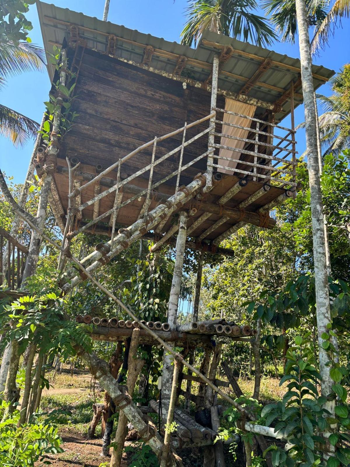 Lotus Jewel Forest Camping Sultan Bathery Exterior foto
