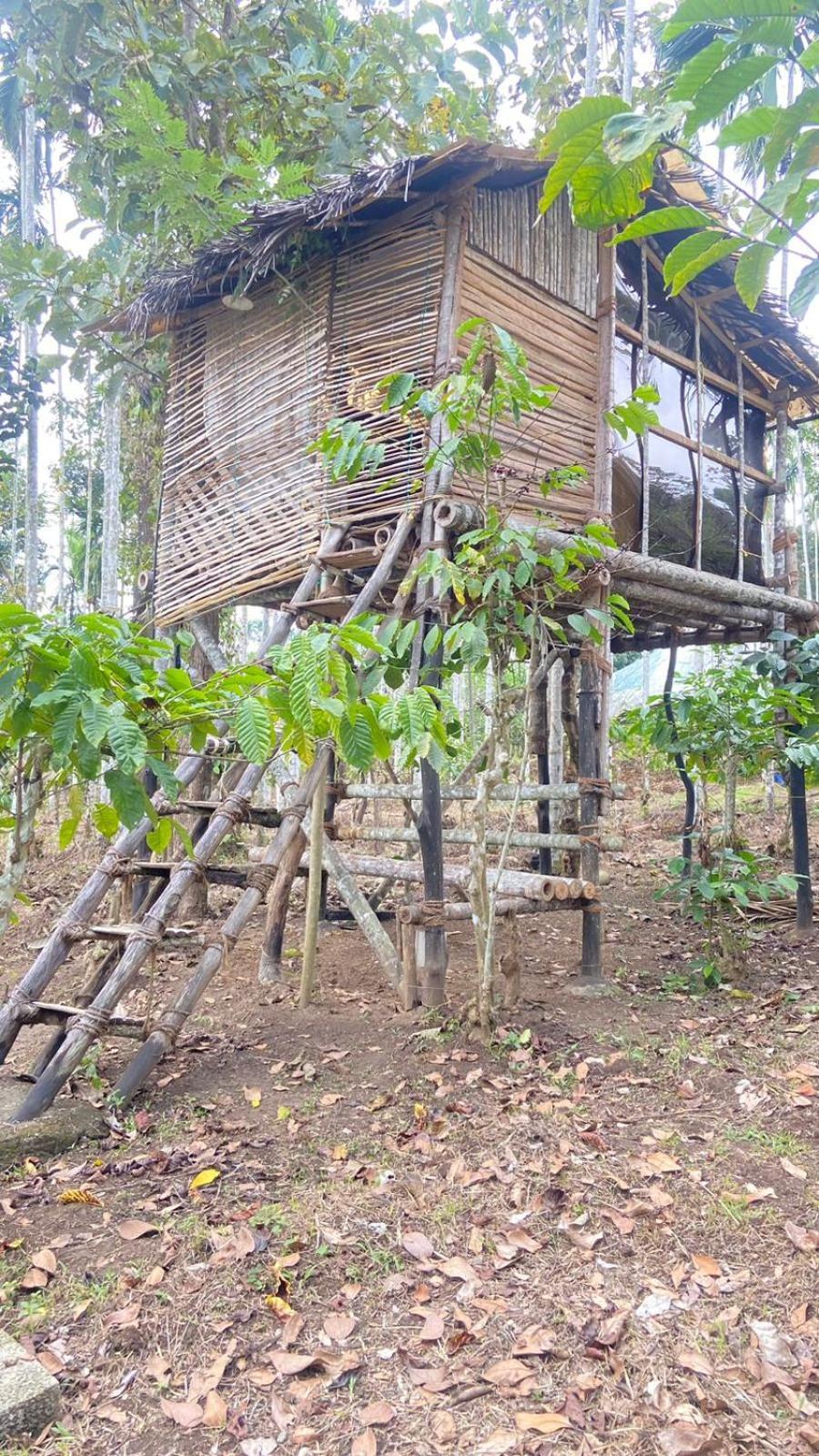 Lotus Jewel Forest Camping Sultan Bathery Exterior foto